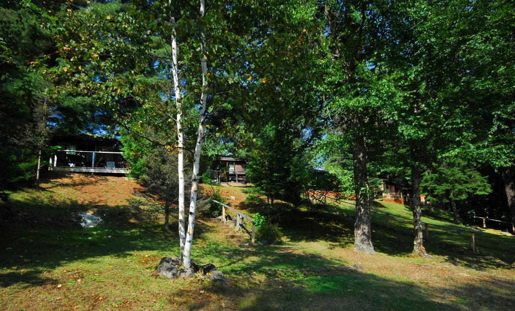 The Pines Cottage Resort Oxtongue Lake Zewnętrze zdjęcie