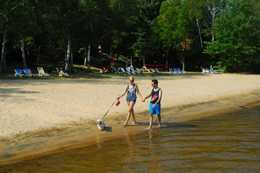 The Pines Cottage Resort Oxtongue Lake Zewnętrze zdjęcie