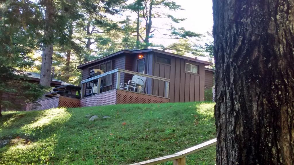 The Pines Cottage Resort Oxtongue Lake Pokój zdjęcie